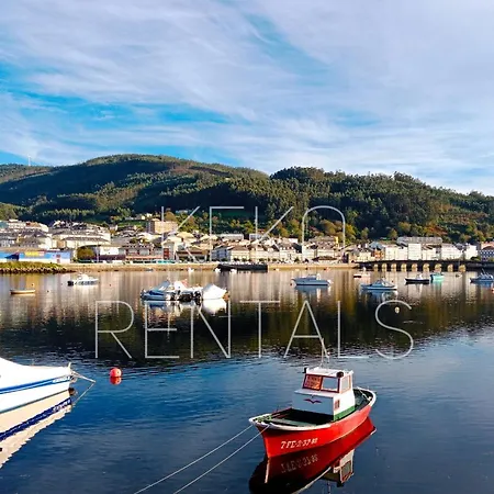 Covas Arena Daire Viveiro