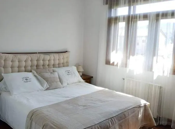 Covas Arena Daire Viveiro