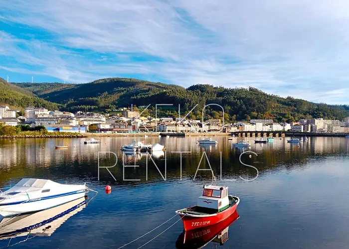 Covas Arena Daire Viveiro